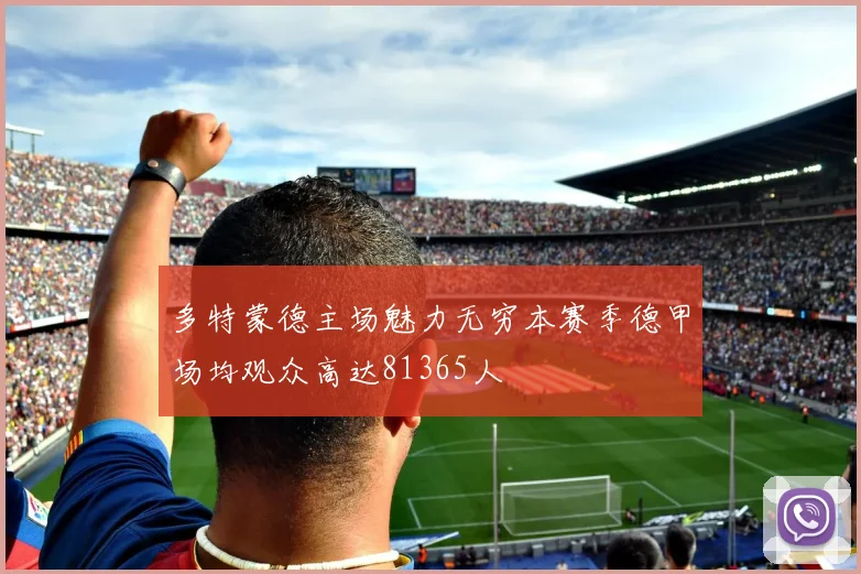 多特蒙德主场魅力无穷本赛季德甲场均观众高达81365人